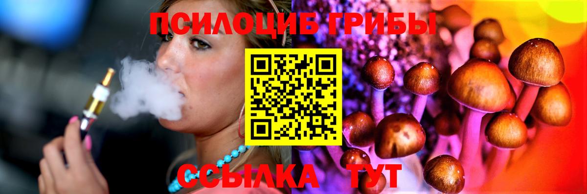 Павловский Посад  Псилоцибиновые грибы ЛСД  Вход с VPN 