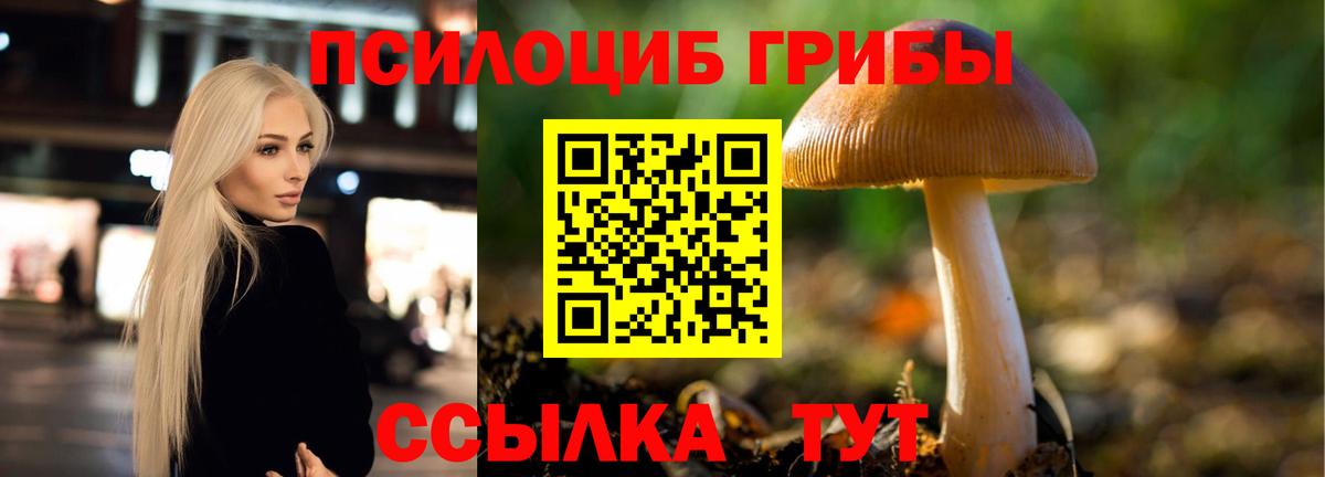 Псилоцибиновые грибы GOLDEN TEACHER Павловский Посад