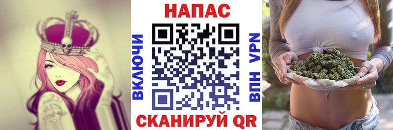 Бошки Шишки VHQ OMG сайт Павловский Посад